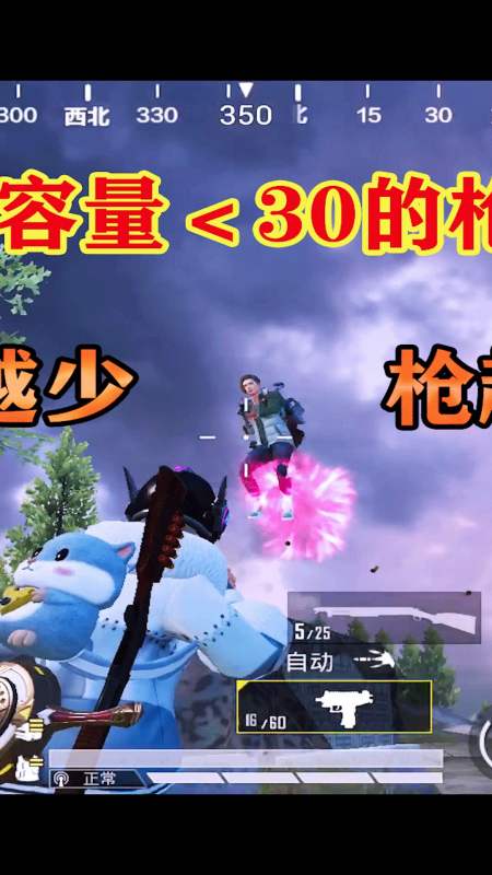 三生解说:只用弹容小于30发的枪,子弹越少,枪越霸道!