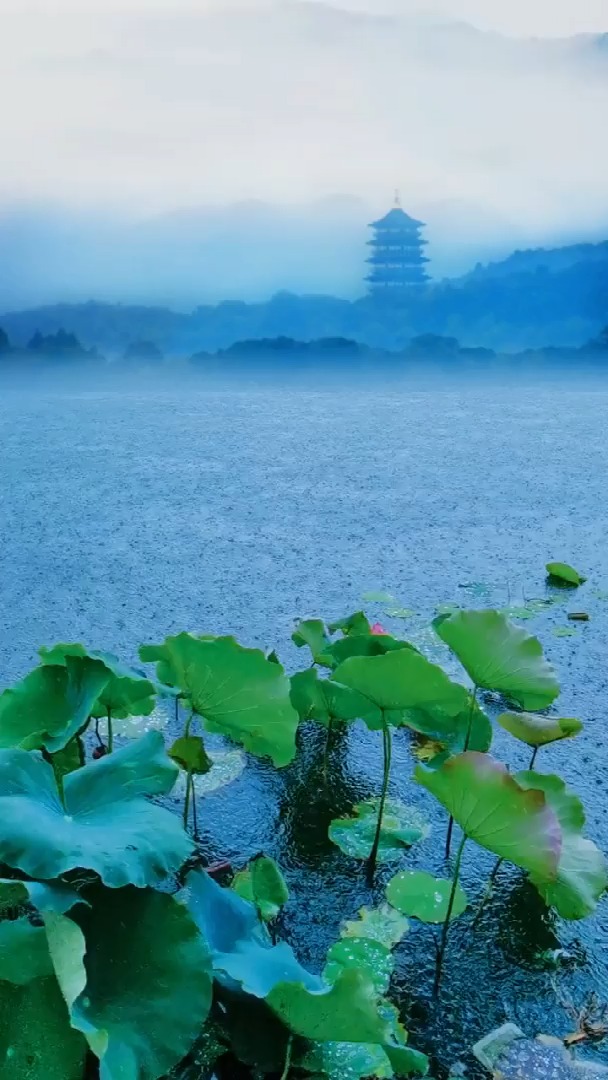 杭州水光潋滟晴方好山色空蒙雨亦奇杭州一城山色半城湖