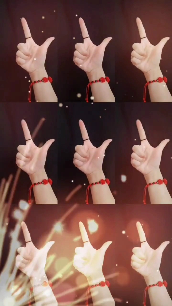 《渡我不渡她》手势舞