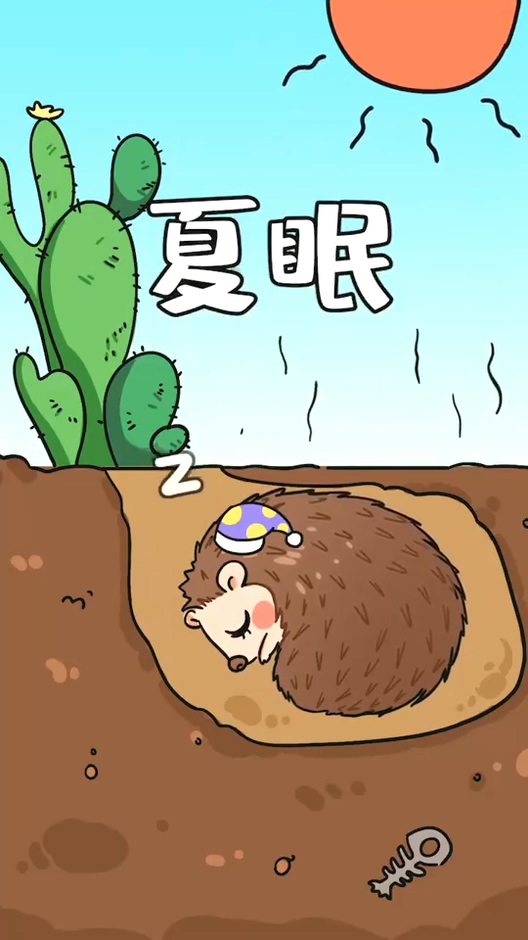 动漫#刺猬居然会夏眠,你知道吗?-度小视