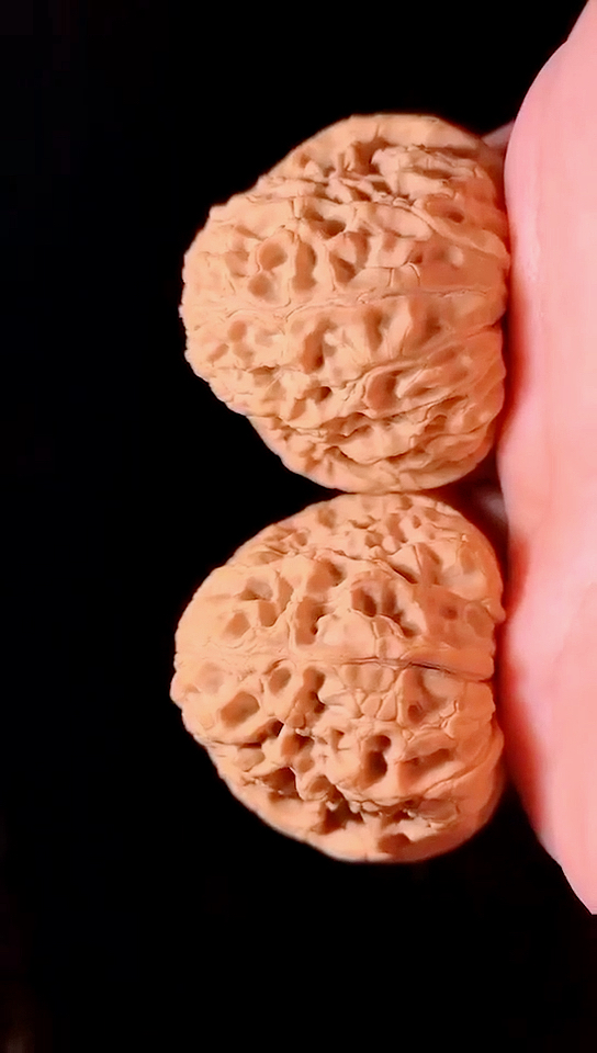 文玩核桃#大团圆狮子头