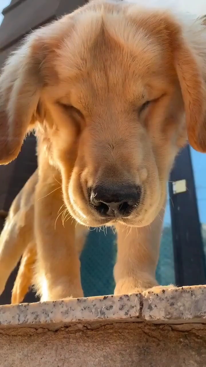 长着一张苦瓜脸