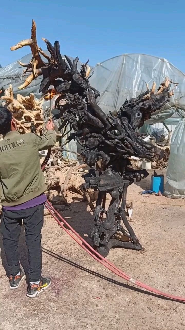 天然的树根于手艺人的智慧完美结合.今晚烤老鹰