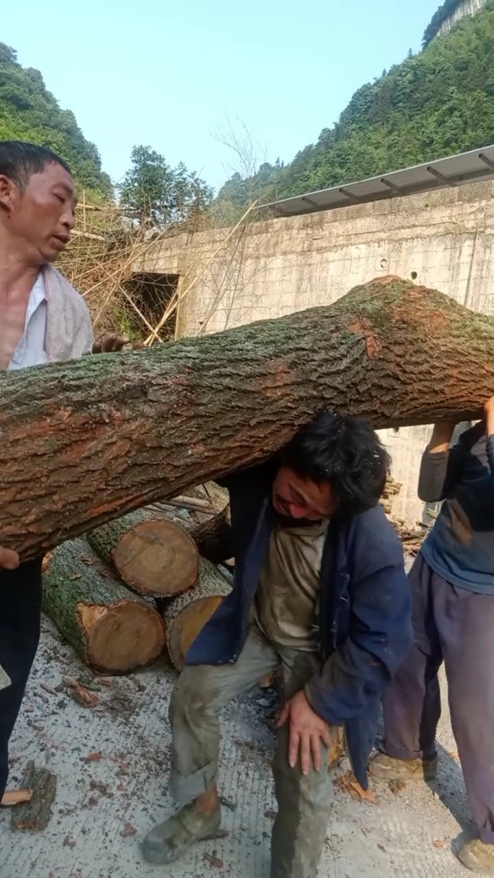 生活不易這就是真男人,為了老婆和孩子,千斤重也要扛,為這位大哥點贊