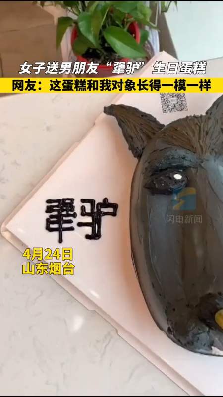 女子送男朋友"犟驴"生日蛋糕,网友:我男朋友和这个蛋糕也长得一模一样