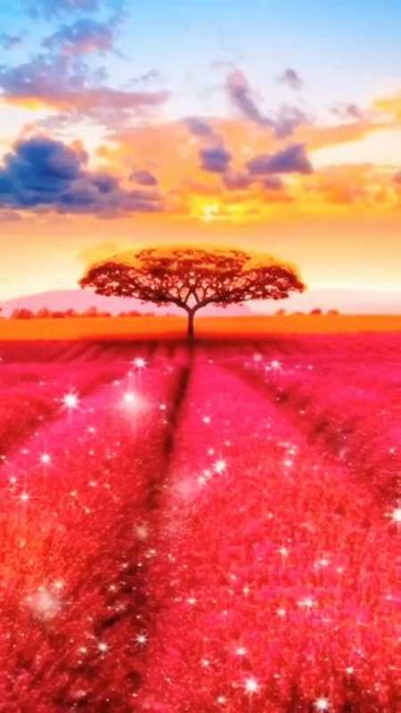 注意接收你已经被好运包围了重阳节愿所有美好如约而至新特效大自然