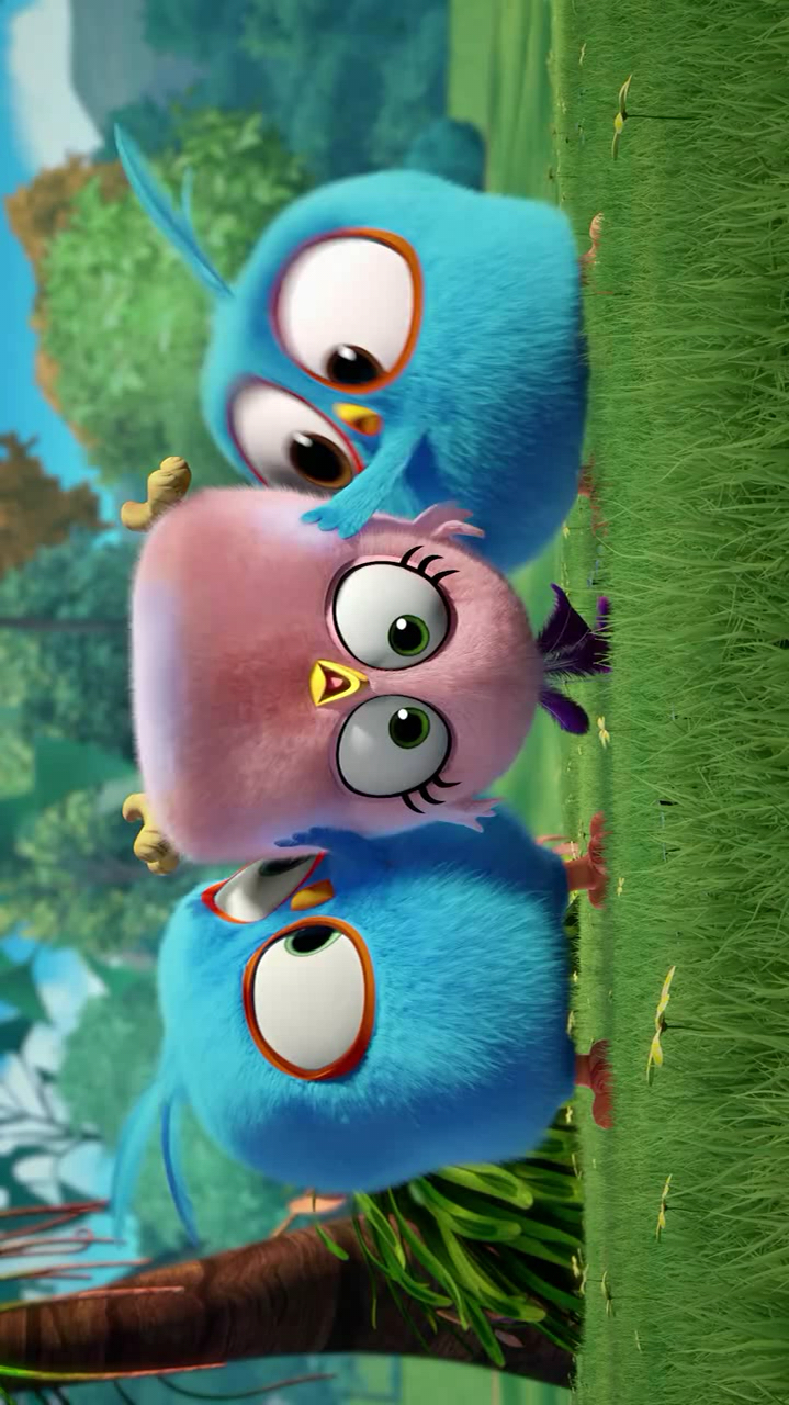 愤怒的小鸡之蓝弟弟