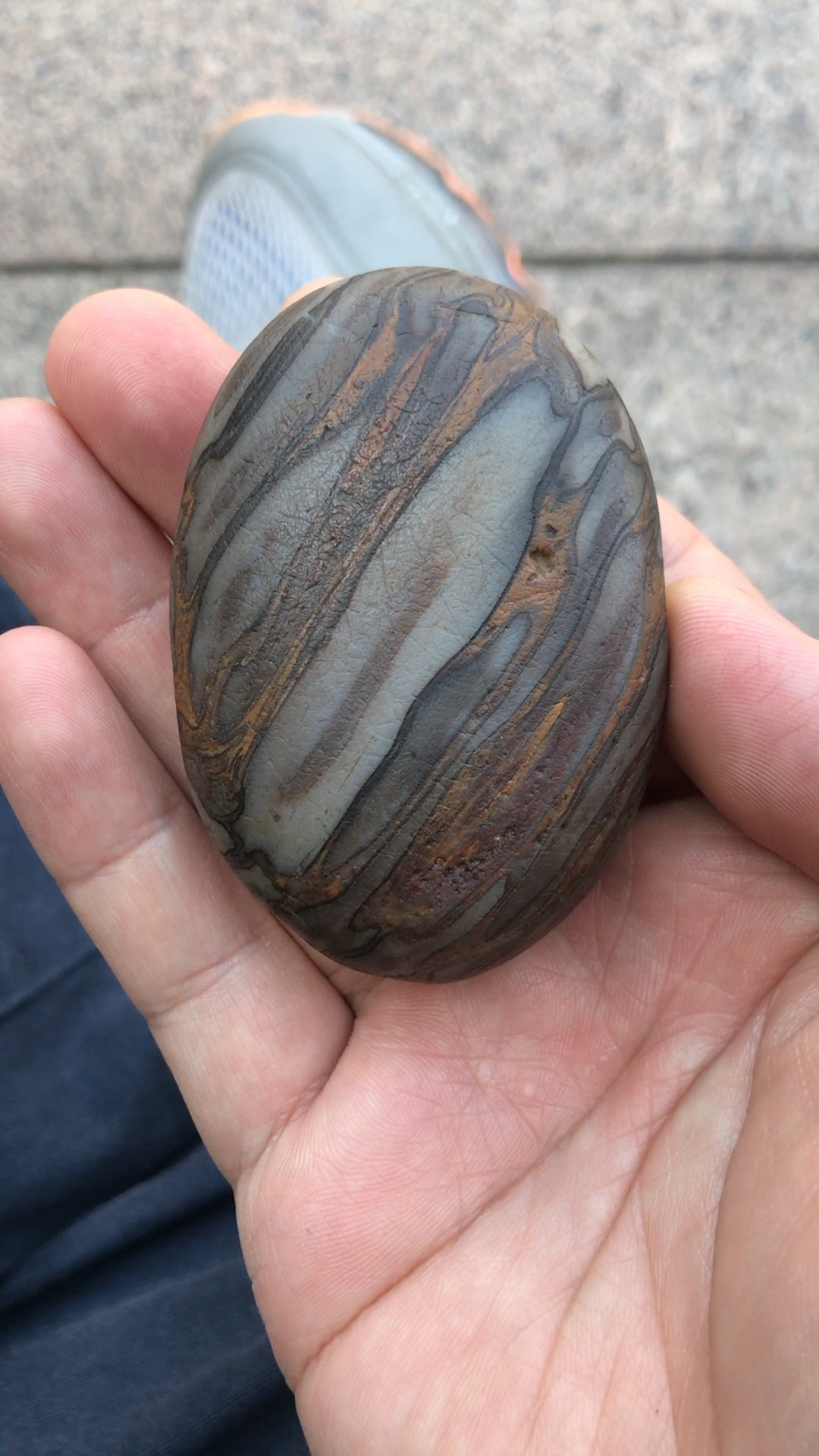 雨花石之木化石