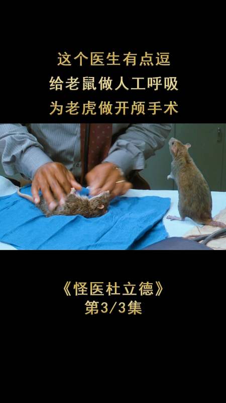 这个医生真逗,为老鼠做人工呼吸,给老虎做开颅手术