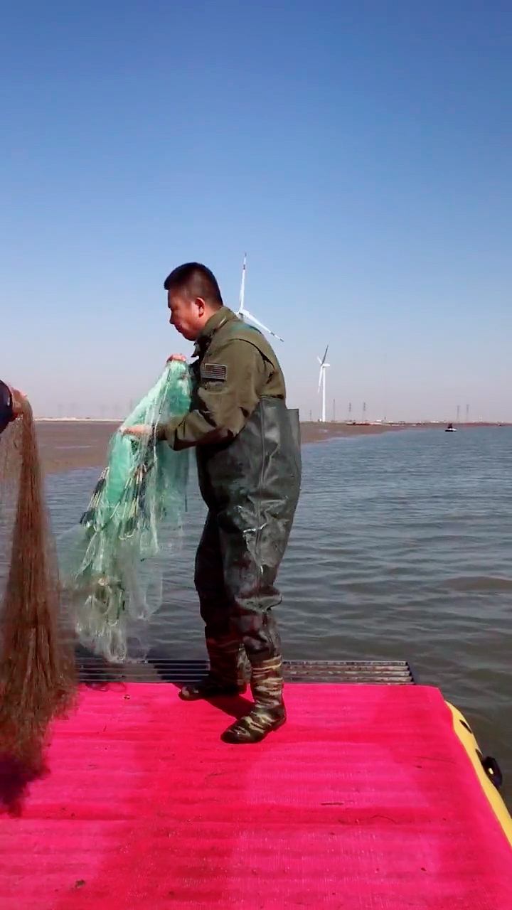 撒网捕鱼#这网撒的怎么样?拦他半条河!