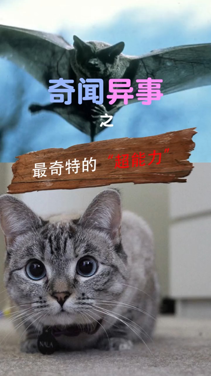 奇闻趣事抢先看#动物才有的十种"超能力",你最想拥有哪一种呢?