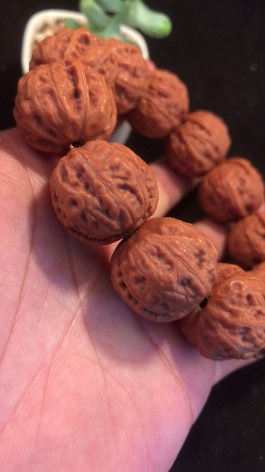 野生的核桃小手串