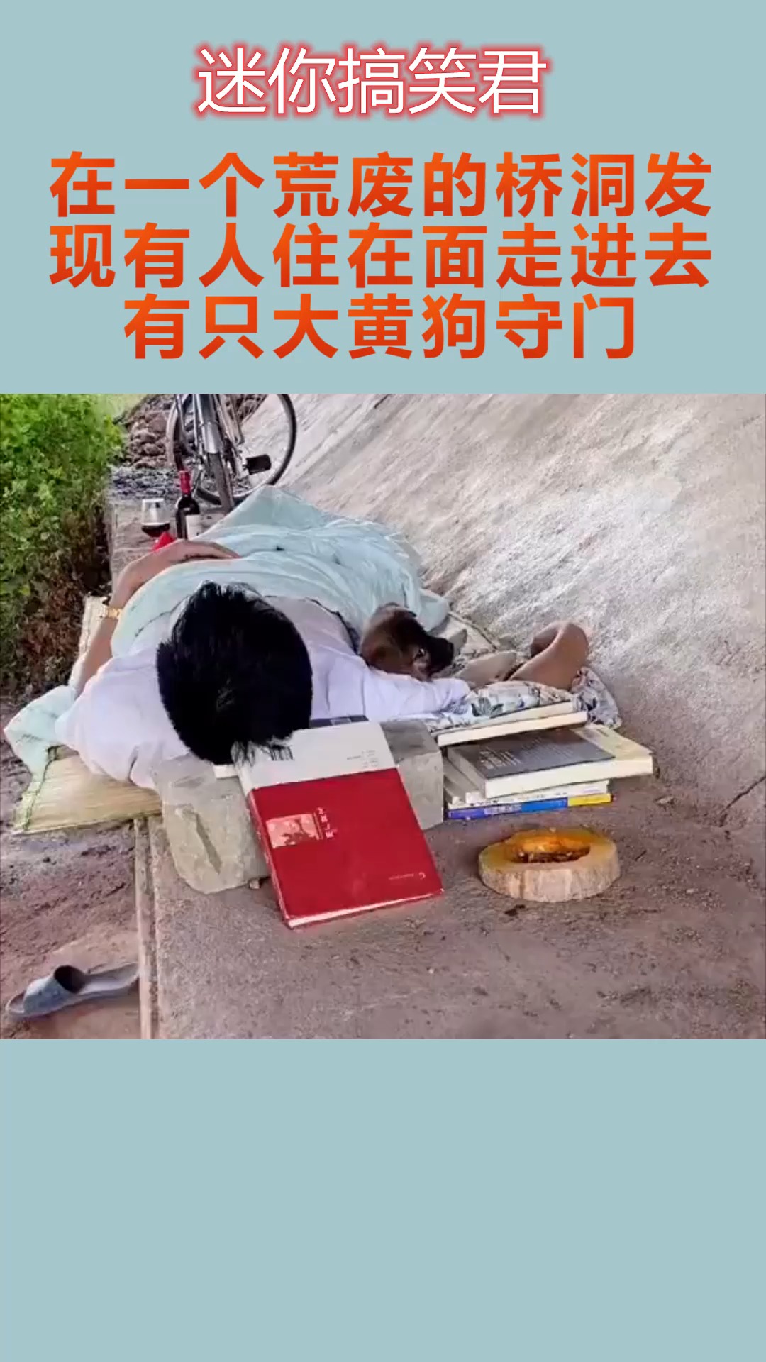 我要上热门#在一个荒废的桥洞,发现有人住在面,走进去有只大黄狗守门