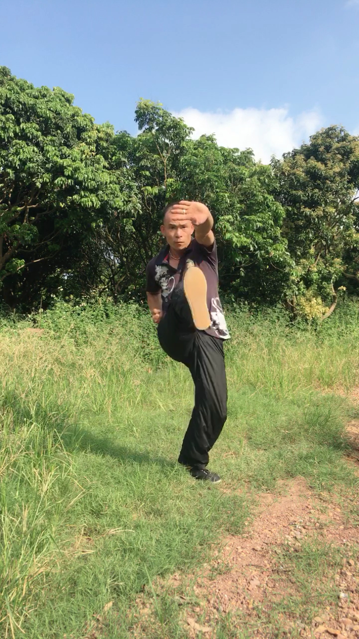 少林八步连环拳,喜欢的朋友请关注我,关注全民小视频