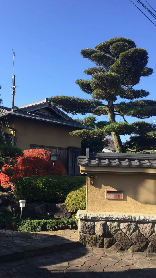 日本農村小院.