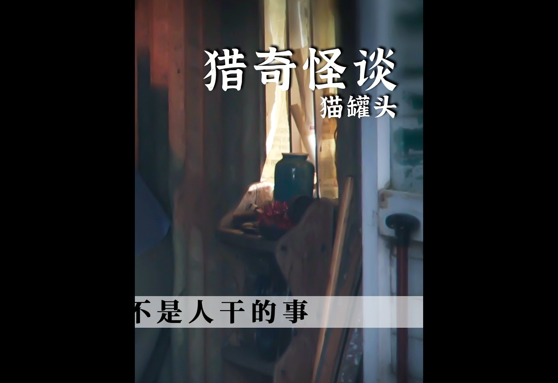 电影解说#猫食寄生者