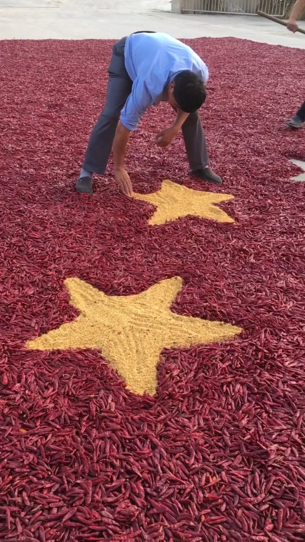 河南农民用1500余斤辣椒摆成巨幅国旗为祖国庆生.