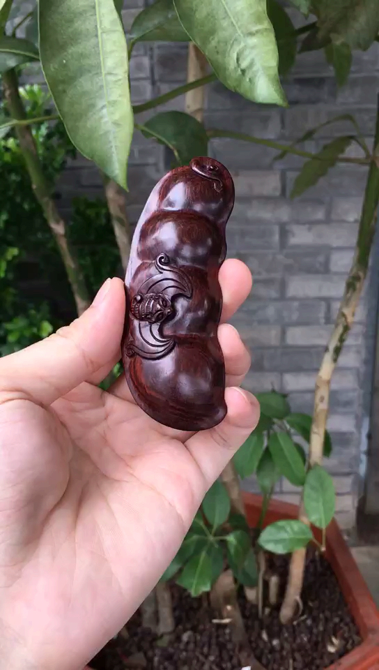 海南黄花梨,精品紫油梨【福豆】手把件,挂饰,规格:长9.4cm 重22克