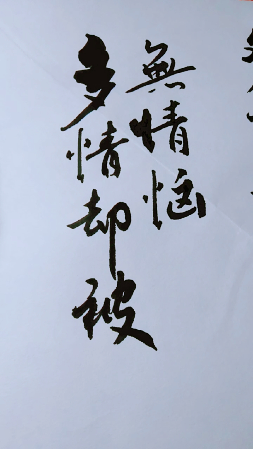 多情却被无情恼!