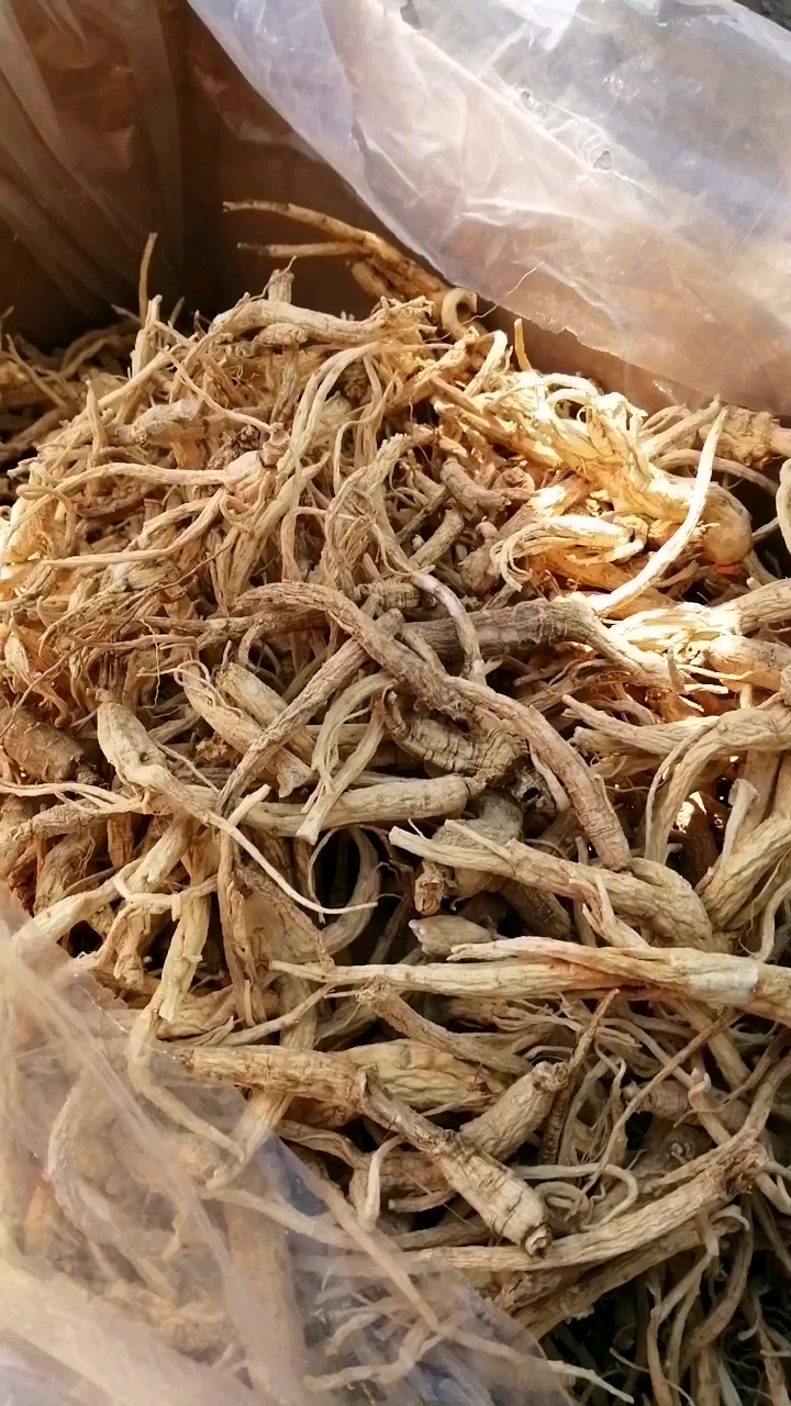 干人参棒,煲汤,打粉泡茶