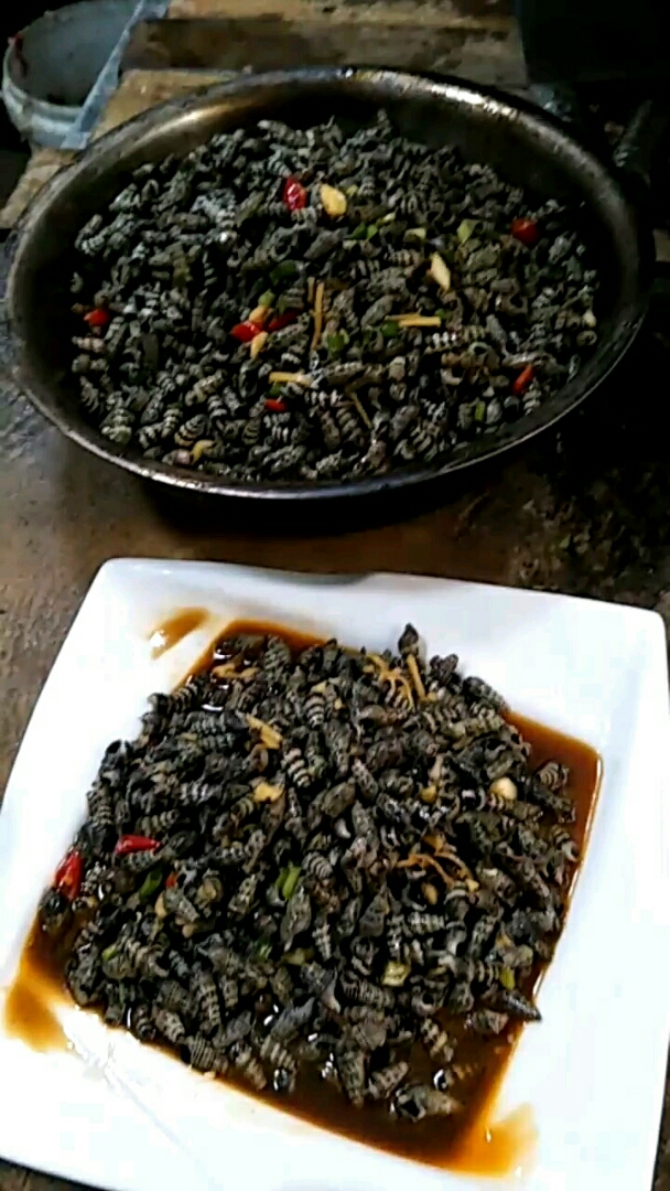 香拌海麦螺,下酒很不错,互赞