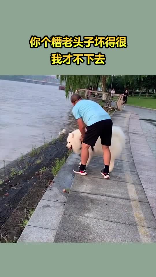 你个糟老头子坏得很,我才不下去