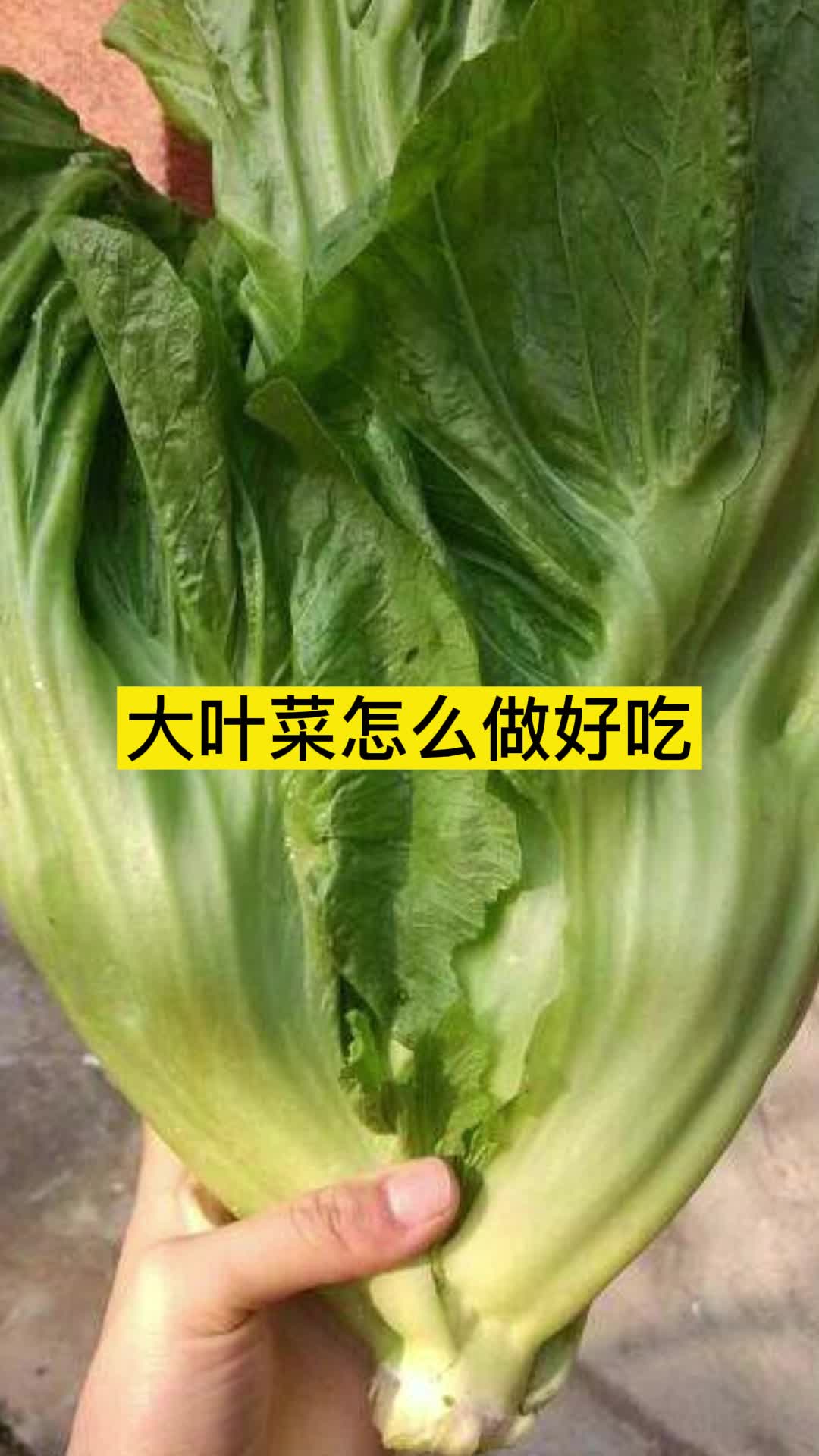 大叶菜怎么做好吃你理解了吗
