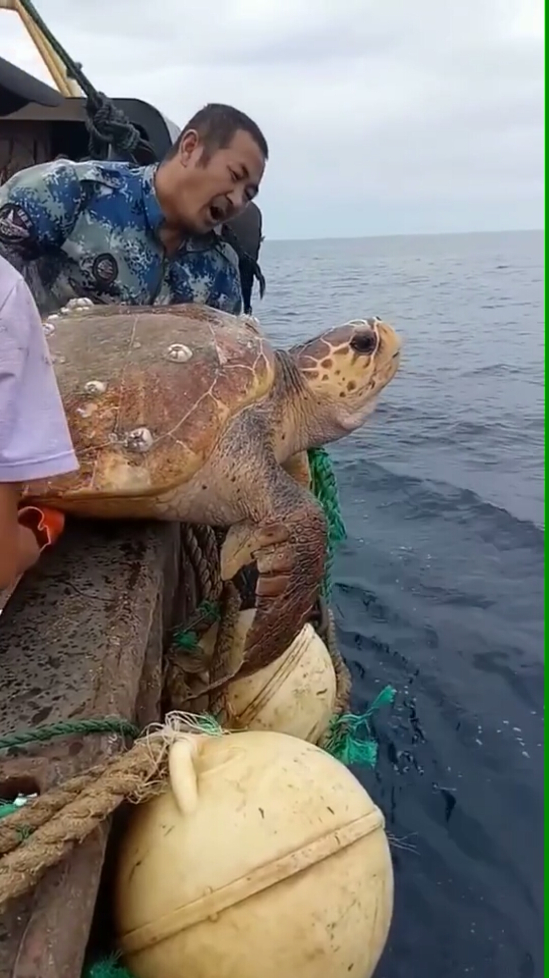 放生龟爷爷,好人一生平安