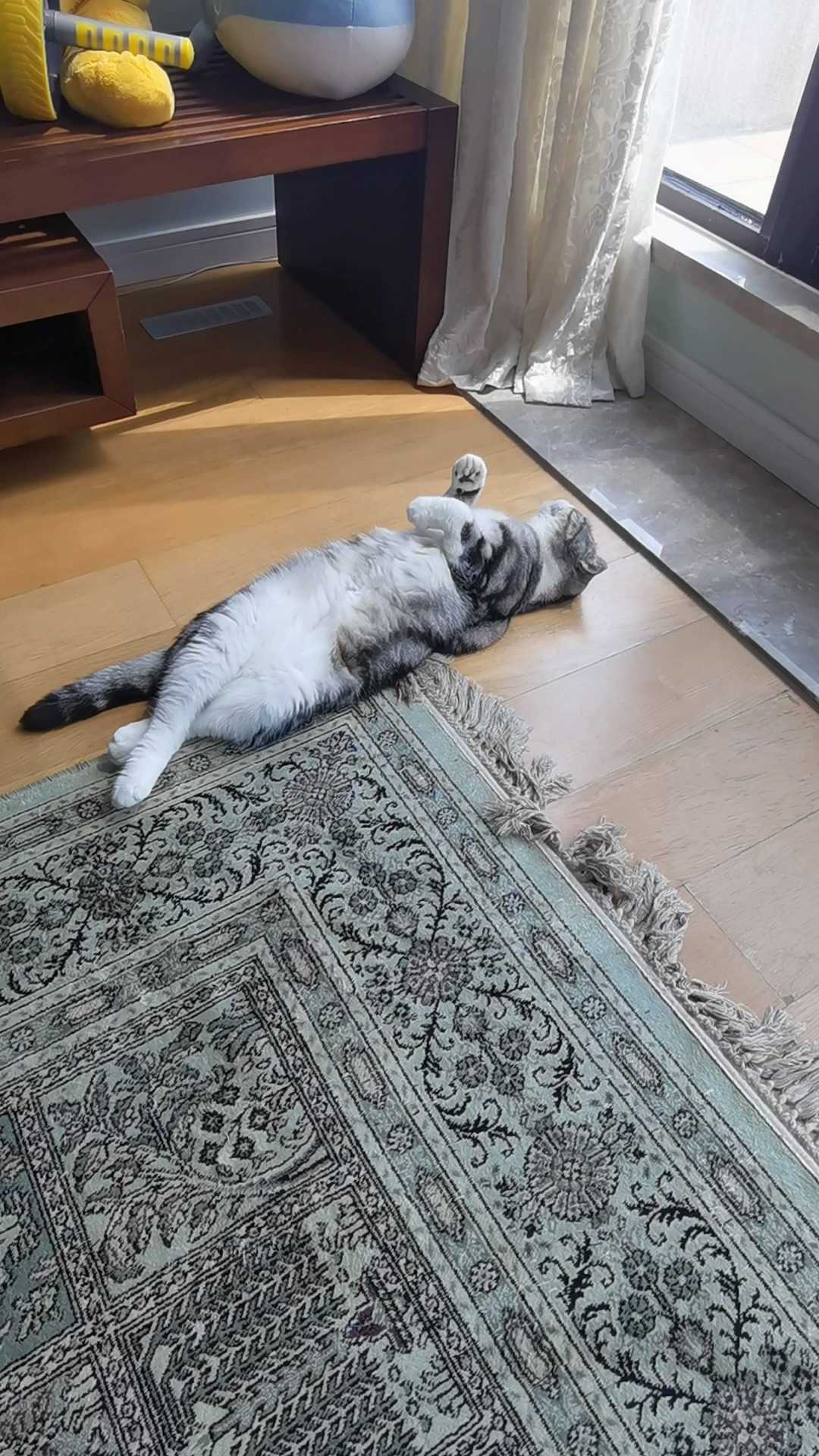 咕噜这妖娆的睡姿.从哪学的呢?