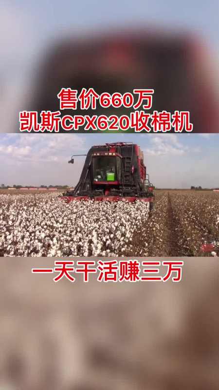买这个机器,收棉花,效益怎么样?