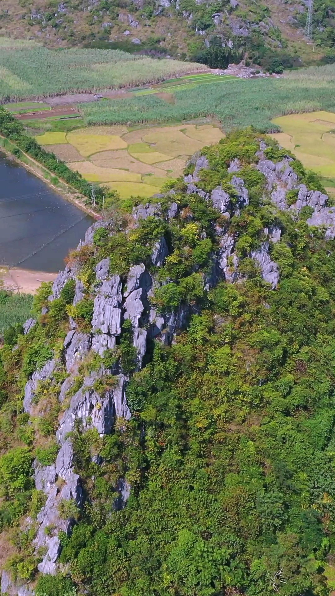 广西特色#广西奇特的石头山!去德天跨国大瀑布的路上随拍!