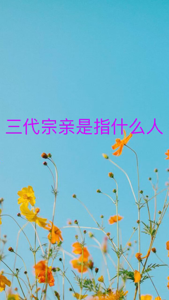 我来告诉你,三代宗亲是指什么人.