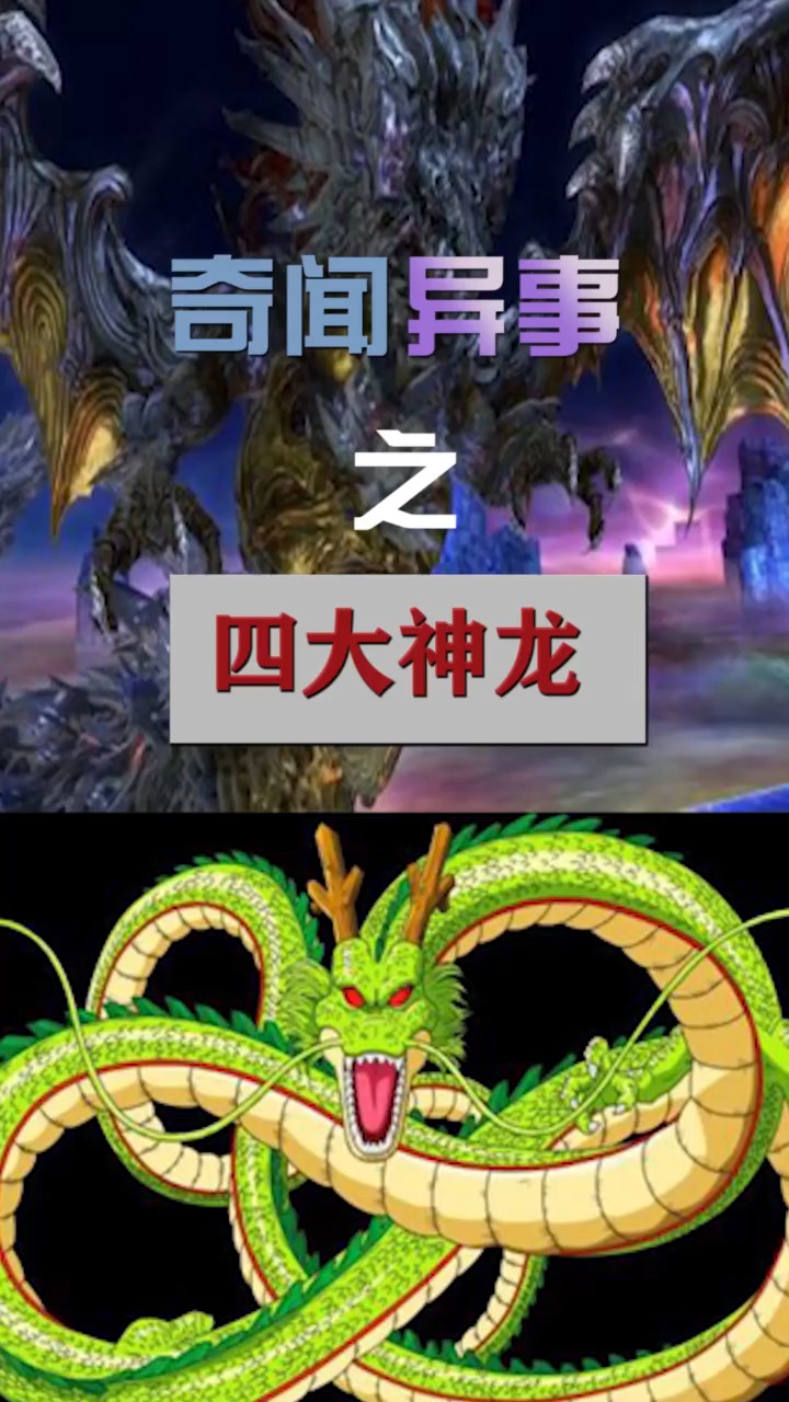 奇闻趣事抢先看#四大神龙!