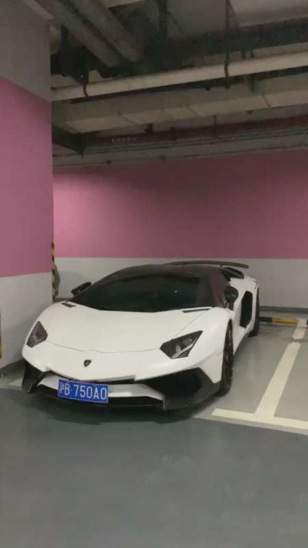 当你找不到挣钱的动力的时候就来上海汤臣一品地库逛一逛上海豪车