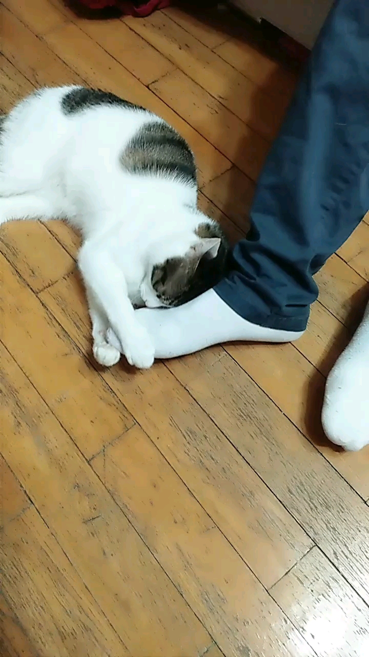 这就是传说中的捧臭脚