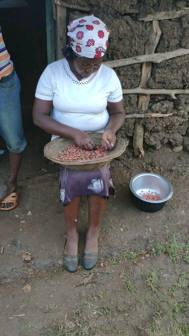 非洲肯尼亚,使用的簸箕上面用牛粪涂抹,填充缝隙,防止虫子