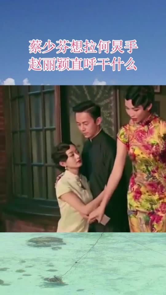 赵丽颖和何炅拍照,蔡少芬想拉何炅手,赵丽颖直呼干什么