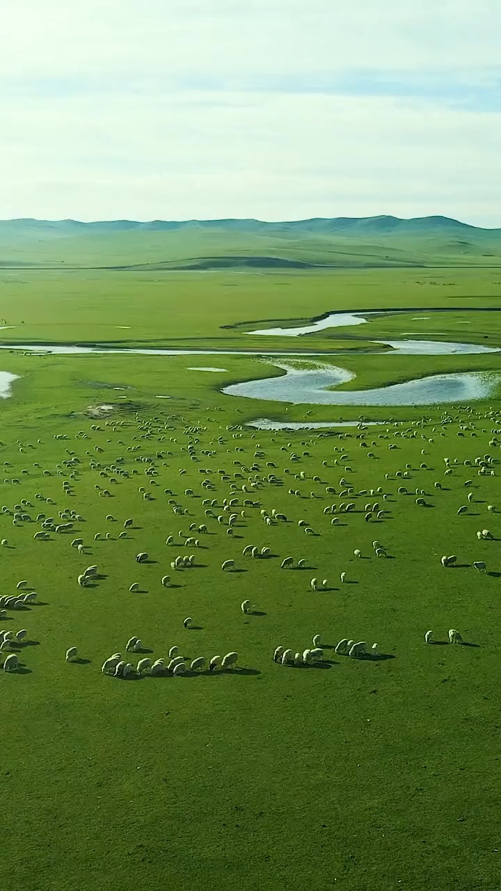 碧绿的草原,洁白的羊群,宛如一幅画浮现在眼前