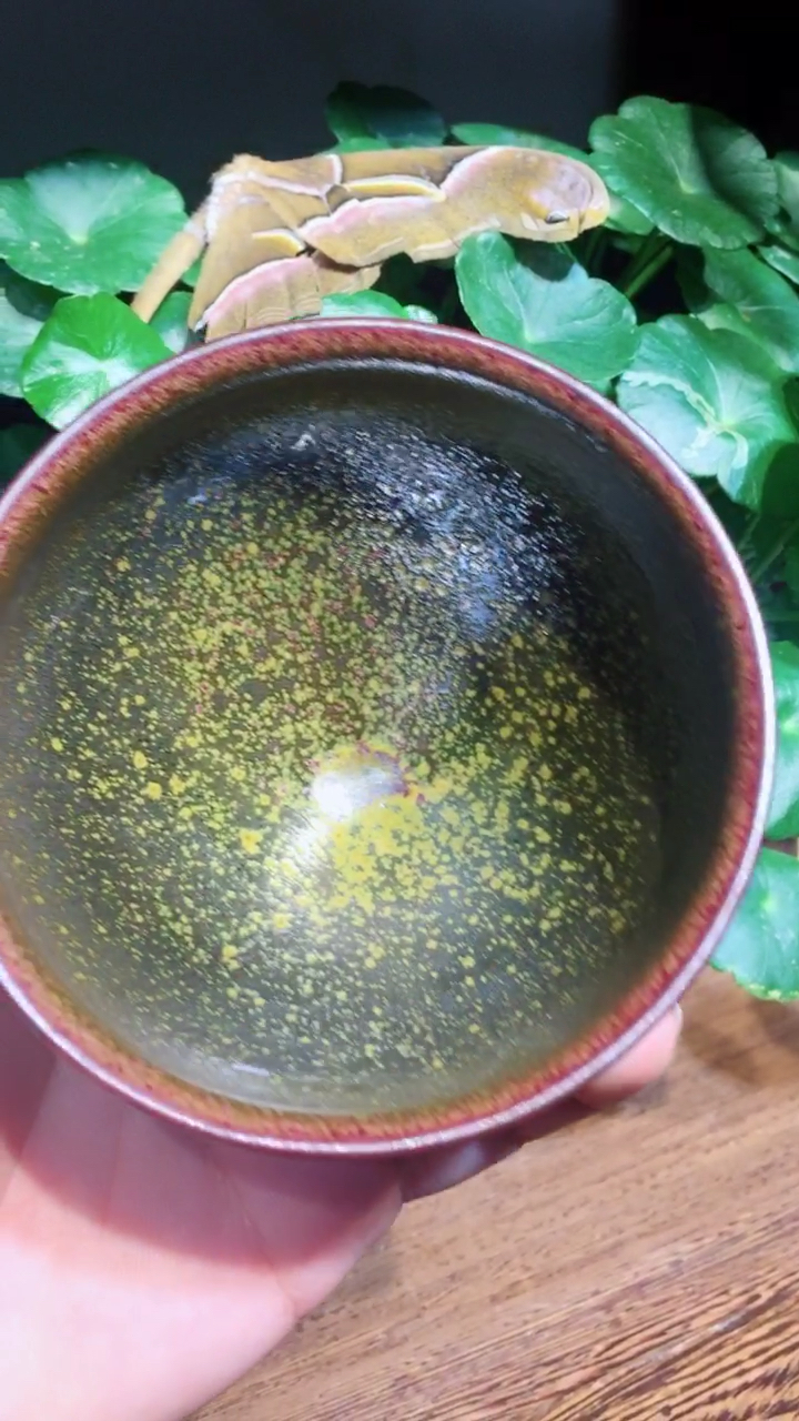 全民好物节#非物质文化遗产建盏 茶末花月夜