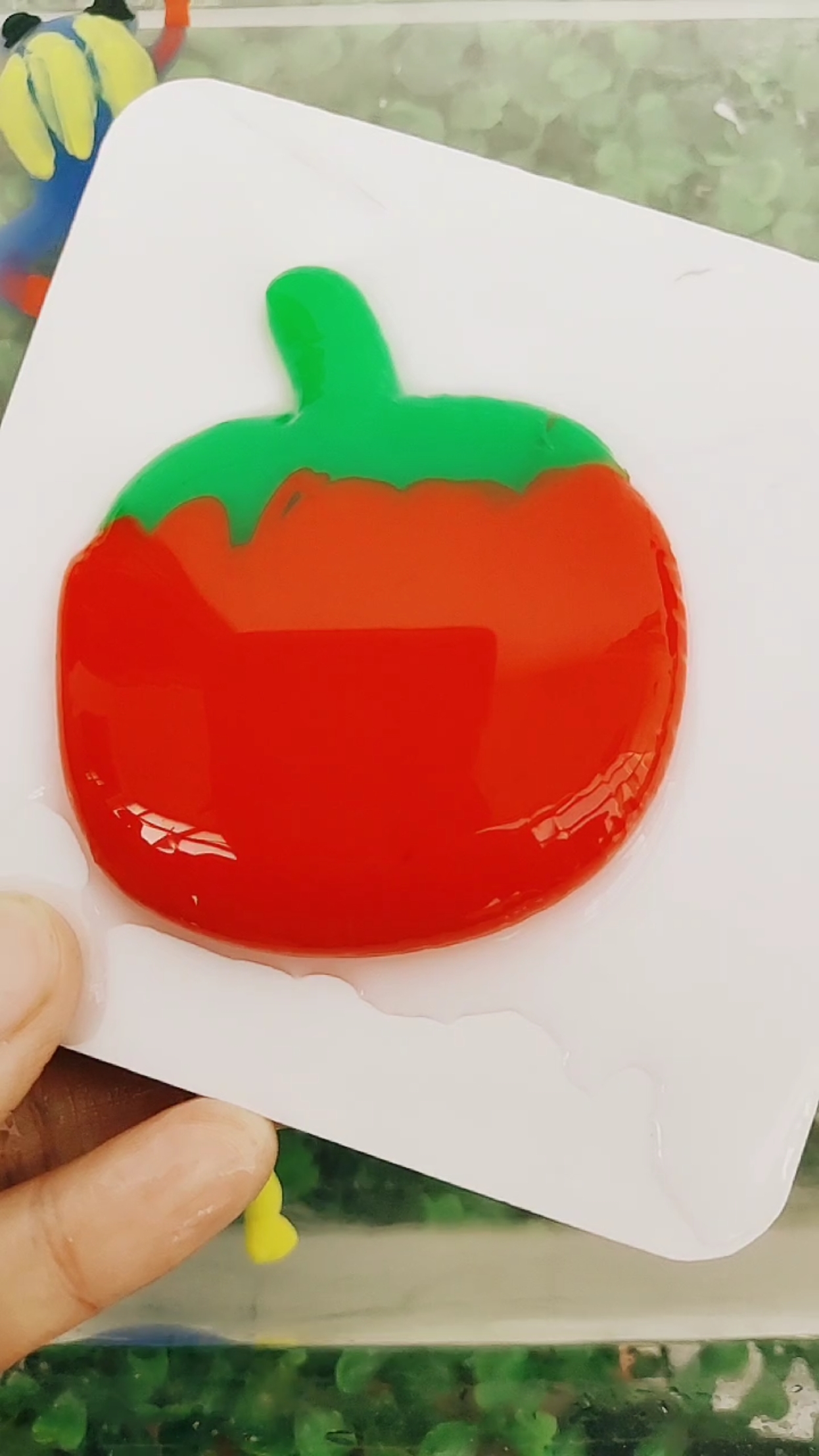 手工作品#西红柿