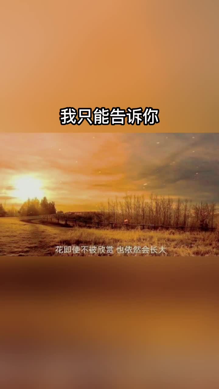 也许这就是人生吧特别喜欢这句话有人说我好有人说我坏我只能告诉你