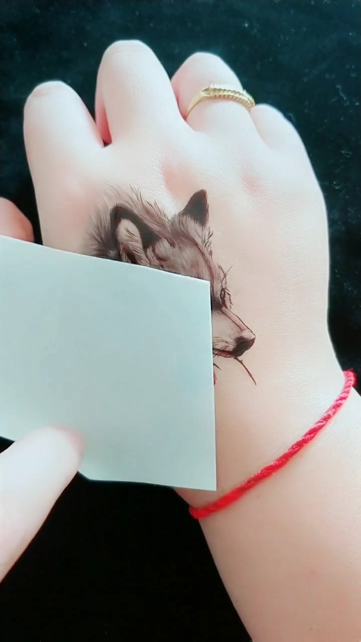 "叼着玫瑰"的狼,酷不酷!