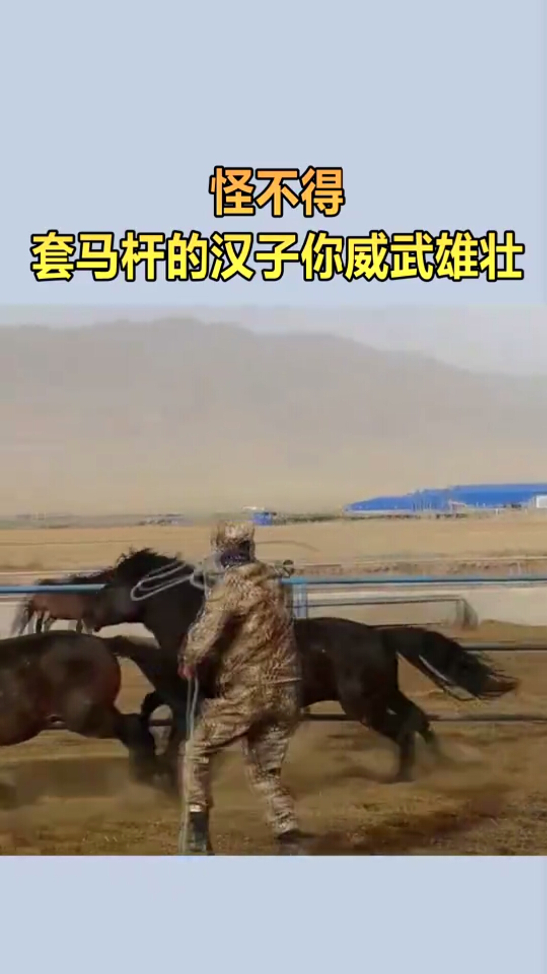 怪不得套马杆的汉子你威武雄壮