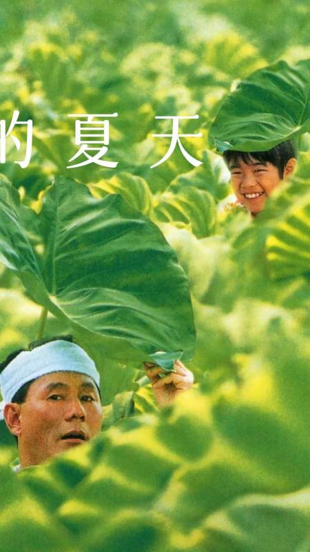 菊次郎的夏天#这个夏天,治愈你我.