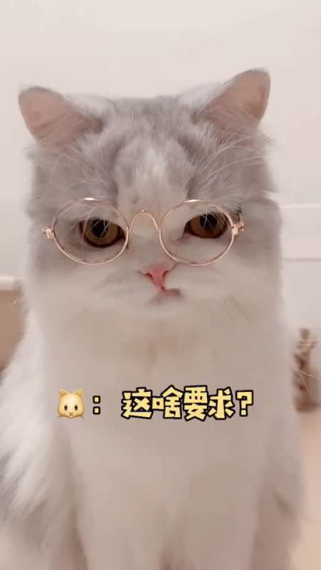 我要上热门##神宠来袭#还有人没看过尼莫噘嘴吗?在先了解一下