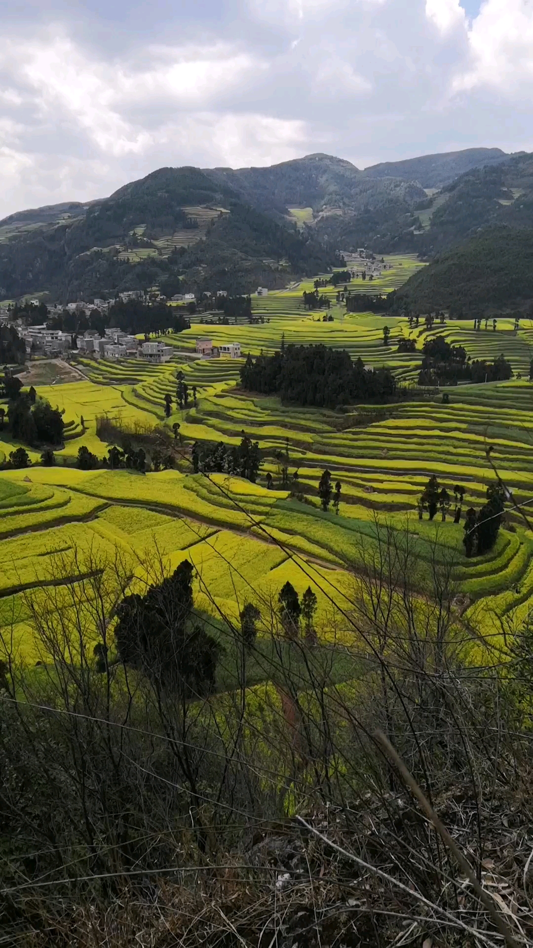 我的家乡美如画会有人为农民朋友点赞吗?