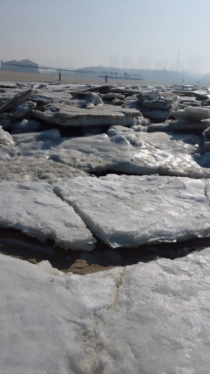 我的大东北呀,连大海都冻冰,喜欢大海的给我双击,我带你们去赶海捉
