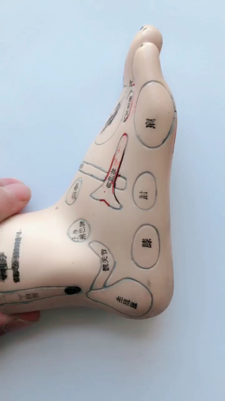 盆腔炎小腹痛,按摩这个穴位吧-度小视