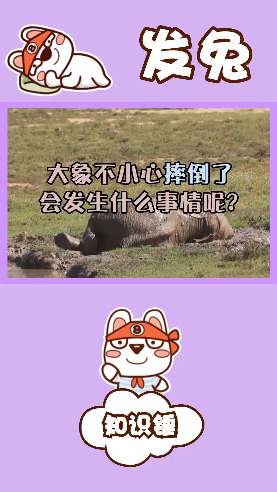 如果大象不小心摔倒了,会发生什么事情?