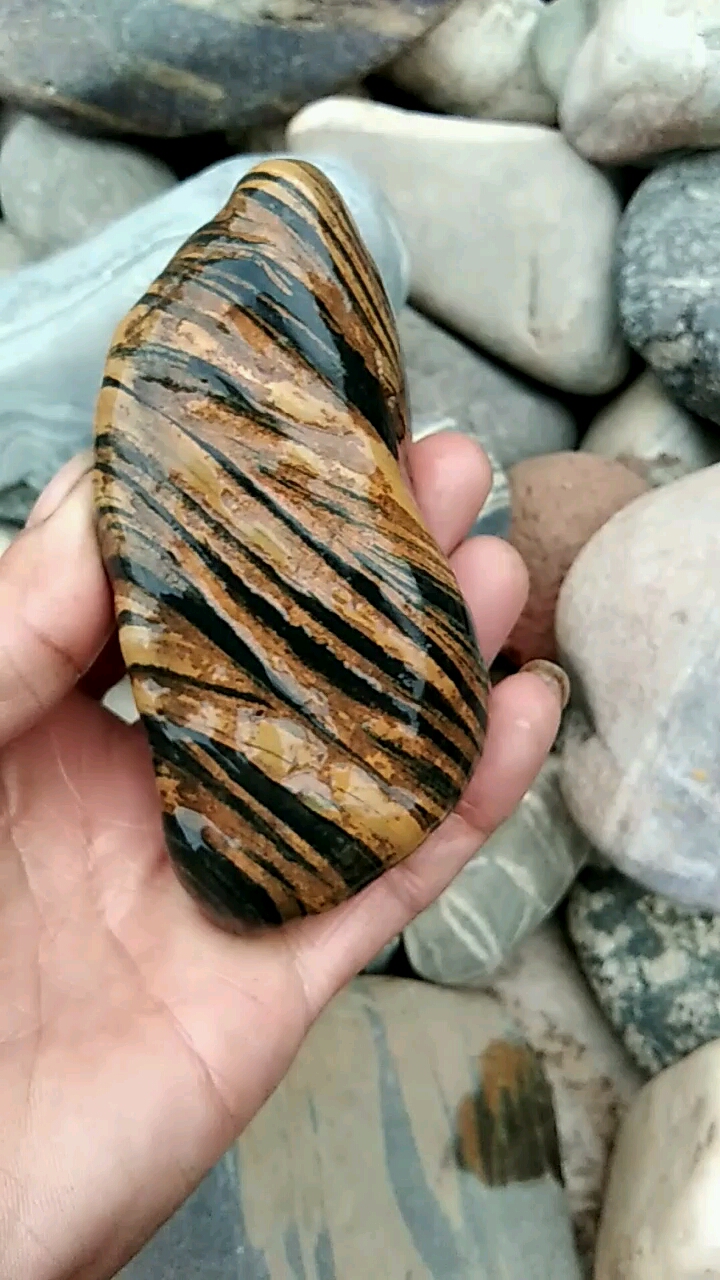 漂亮的黄金水纹石.